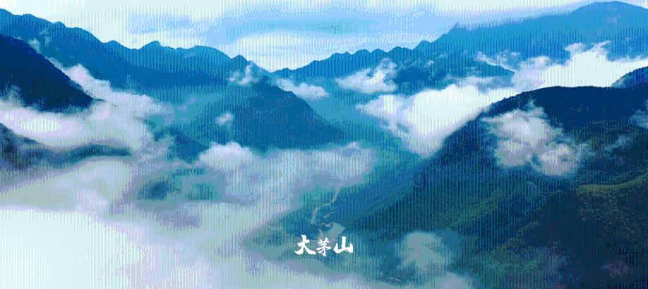 「胡萝卜英语怎么说?」- 专业有问必答平台,解疑解惑一站式服务