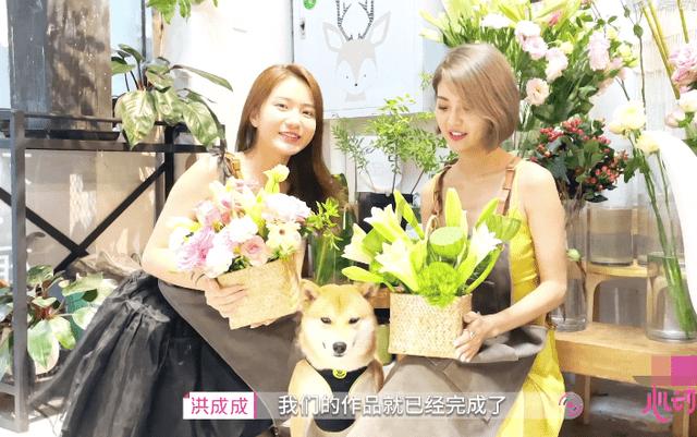 救援卡通小象