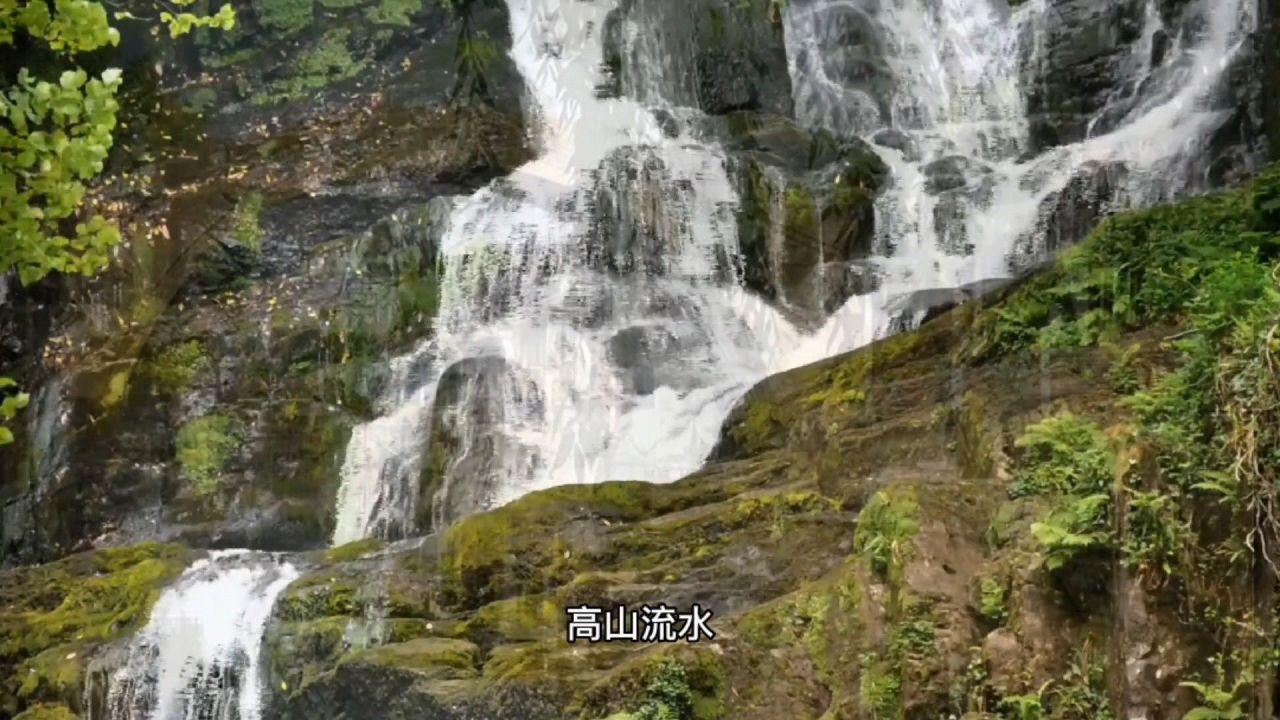 逃离奇幻仙境