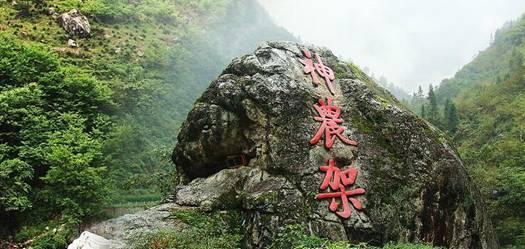 怎么实现做老师的目标？游戏画面