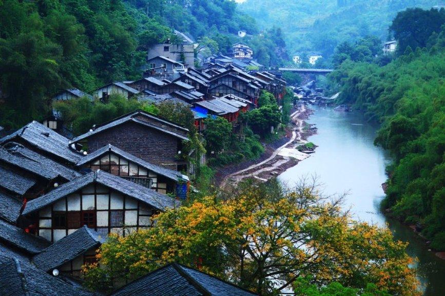 僵尸女友爱爬树